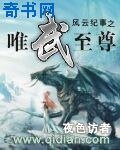 風雲紀事之唯武至尊