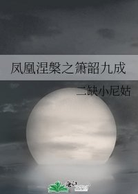 凤凰涅槃之箫韶九成